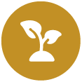 ico-aminity-fill-21