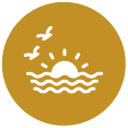 ico-aminity-fill-22